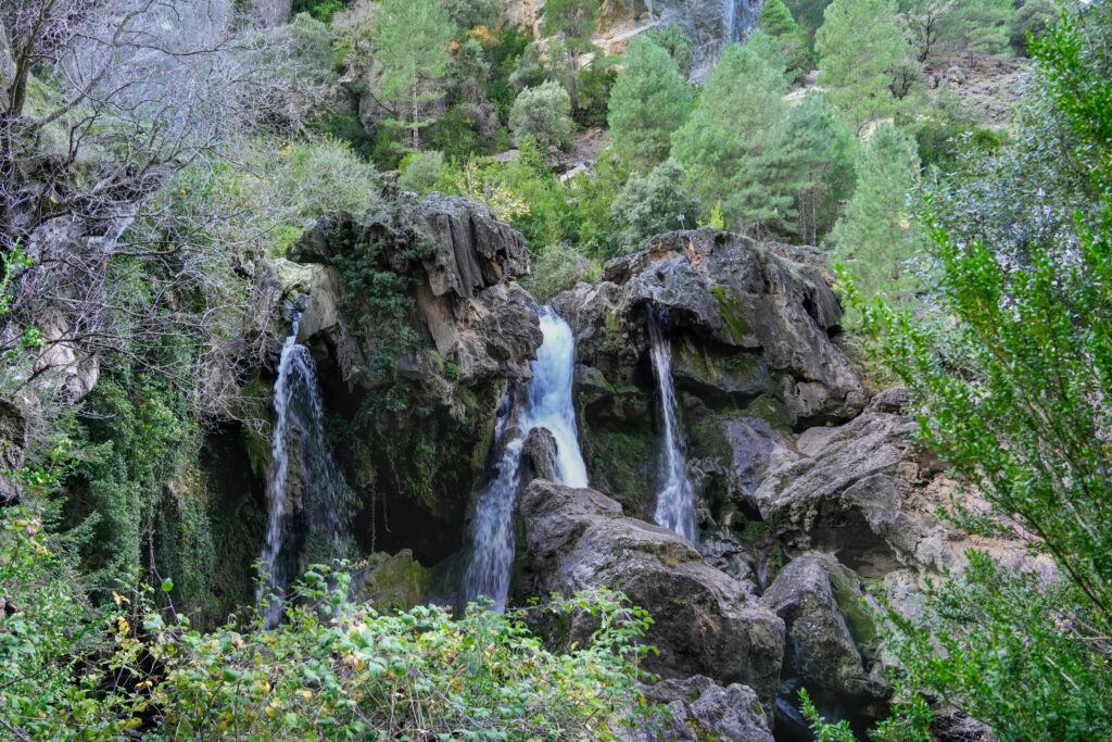Cazorla