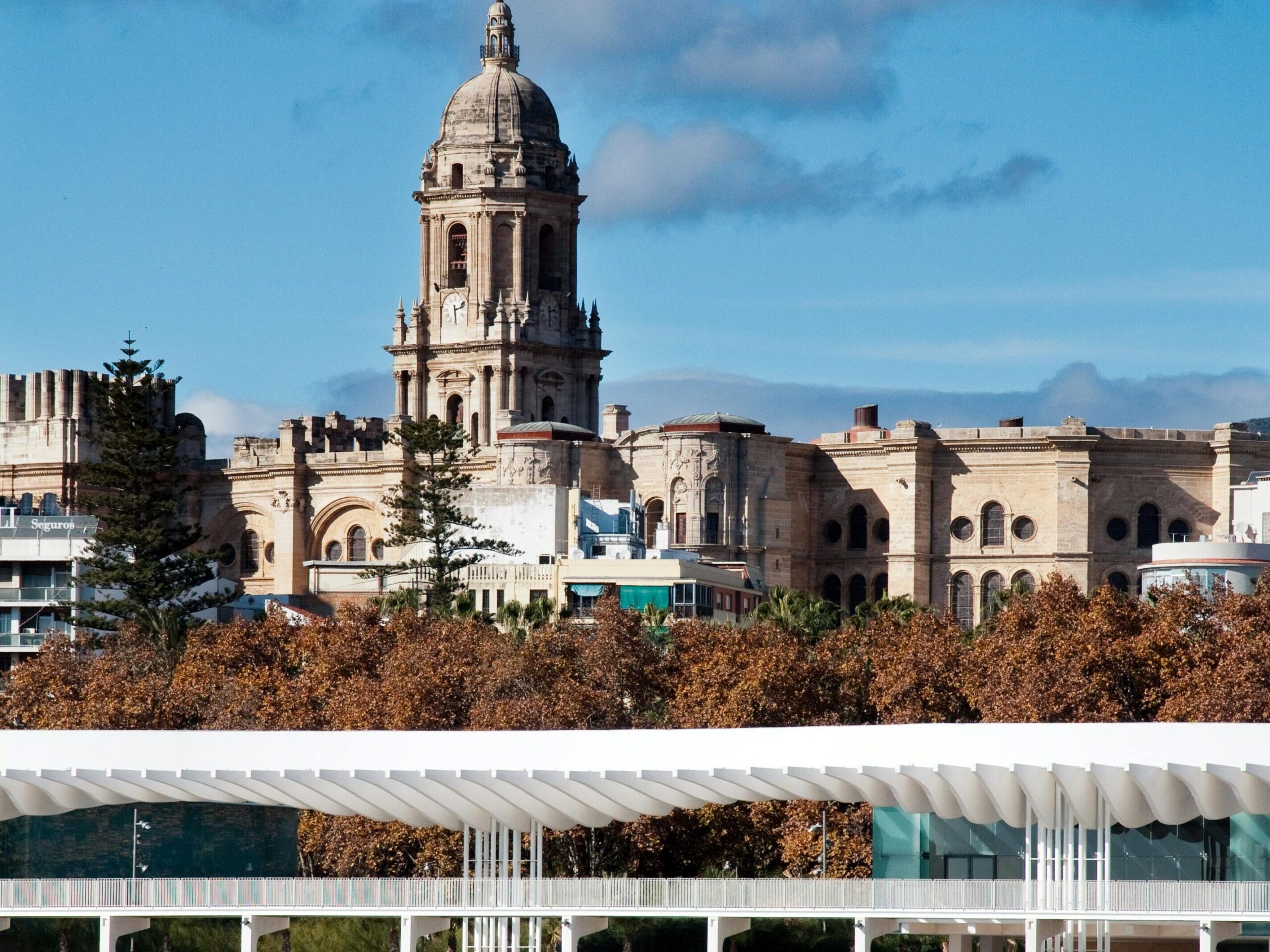 Vistas a la Catedral de Málaga